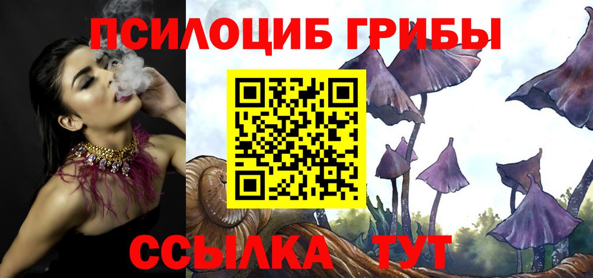 Ахтубинск  Псилоцибиновые грибы Magic Shrooms  Вход с VPN 