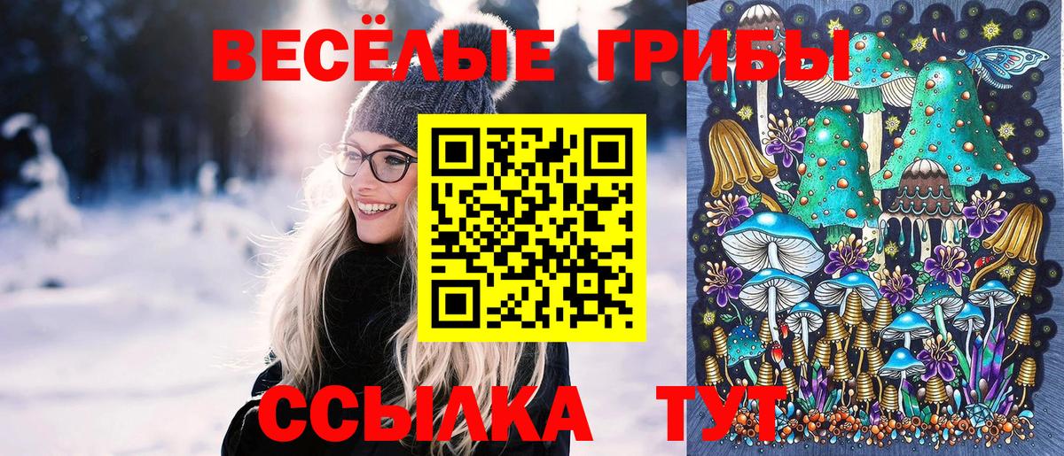 Галлюциногенные грибы Magic Shrooms Ахтубинск
